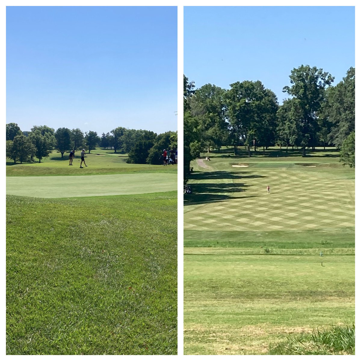 Anthony Williams tweet media