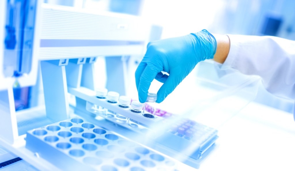 Discovery Biotech tweet media