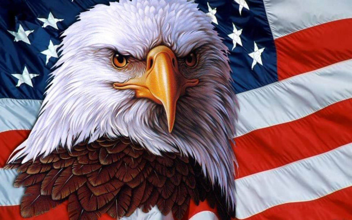 AndreEinherjar's tweet image. Happy 4th of July, to all my American friends!