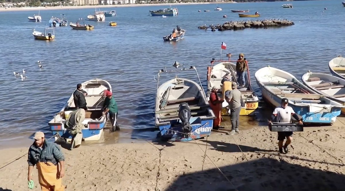 AGCIDCHILE (@agcichile) on Twitter photo ✨ ¿Quieres saber cómo el #FondoChileMéxico 🇨🇱🤝🇲🇽 ayudó a la recuperación socioeconómica de los pescadores y sus familias tras el terremoto y tsunami de Dichato, en el sur de Chile?. <a href="/AMEXCID/">AMEXCID</a> <a href="/SRE_mx/">Relaciones Exteriores</a> <a href="/Minrel_Chile/">Cancillería Chile 🇨🇱</a> Revisa el siguiente video:👇
▶️youtu.be/DAwEdG3atjs ✨ ¿Quieres saber cómo el #FondoChileMéxico 🇨🇱🤝🇲🇽 ayudó a la recuperación socioeconómica de los pescadores y sus familias tras el terremoto y tsunami de Dichato, en el sur de Chile?. <a href="/AMEXCID/">AMEXCID</a> <a href="/SRE_mx/">Relaciones Exteriores</a> <a href="/Minrel_Chile/">Cancillería Chile 🇨🇱</a> Revisa el siguiente video:👇
▶️youtu.be/DAwEdG3atjs