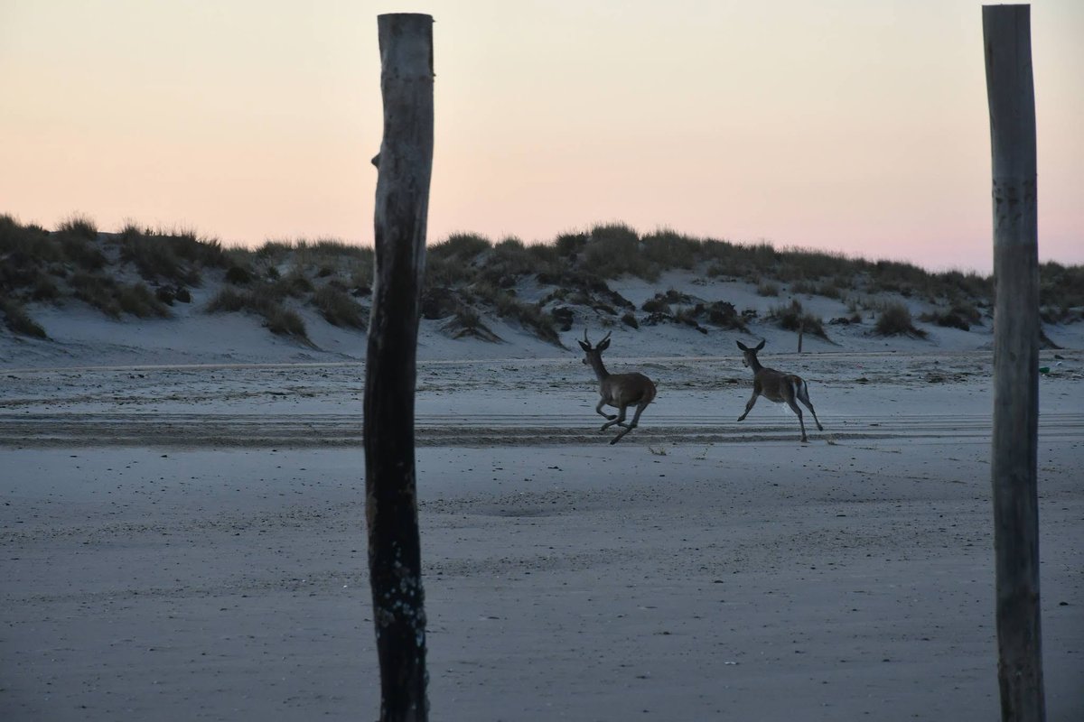 HeL1oS Organic XpertX...🌞 🍊🍎🍒🍇 🌞 tweet media