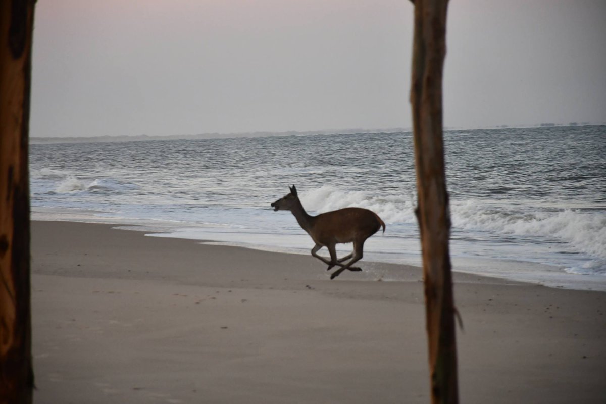 HeL1oS Organic XpertX...🌞 🍊🍎🍒🍇 🌞 tweet media