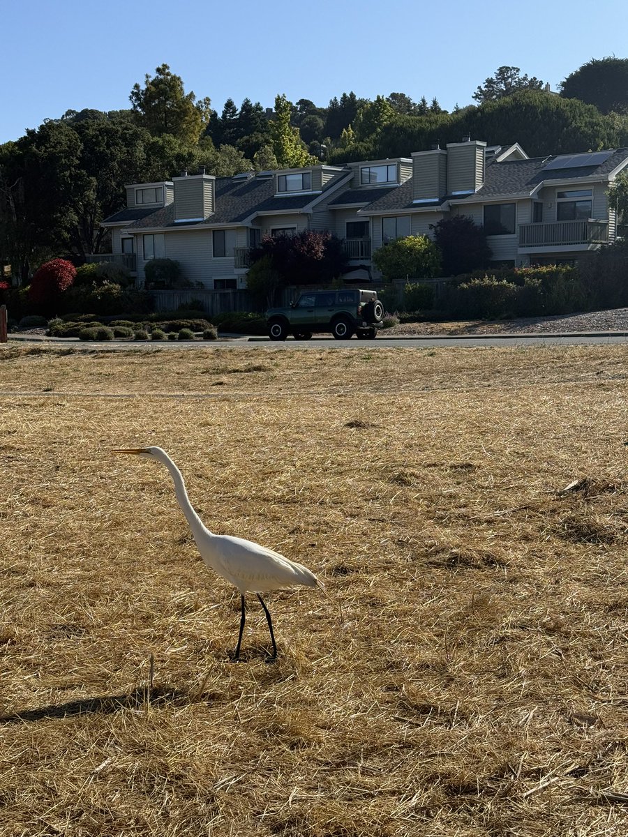 André Antonelli tweet media