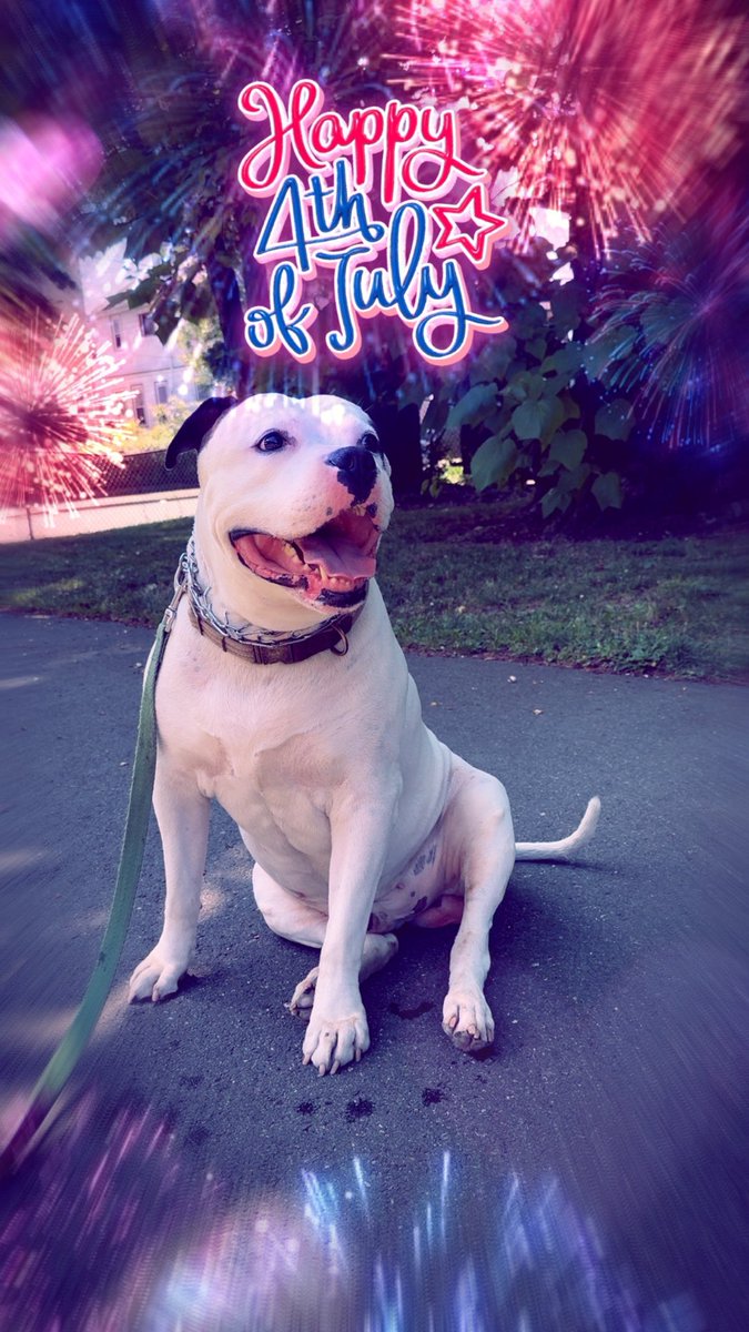 Merica 🇺🇸 #FourthOfJuly 🎆❤️🤍💙