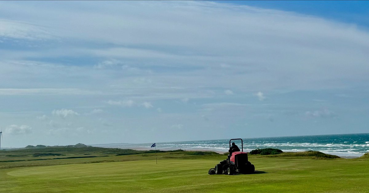 simon_hogghouseflock tweet media