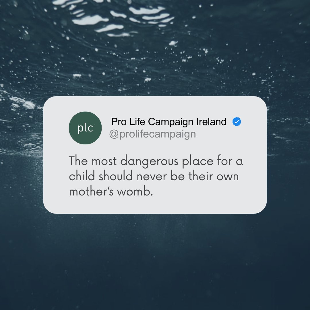 prolifecampaign's tweet image. A womb should nurture, not endanger.🫶
#ProLife #RespectLife #ProtectionInWomb