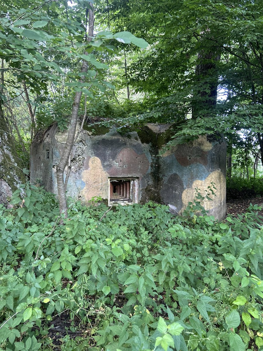 Forestman22's tweet photo. Řopík Q1/3/A-140Z Dubá
#řopík #photo #WWII #liběchovskápříčka #lehkéopevnění #fortifi #dubá #kokořínsko #turistika #historie #Historia #Česko https://t.co/2dDaPfnseq