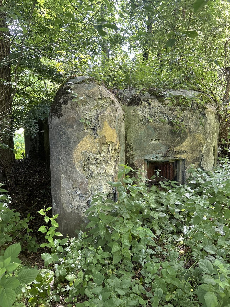 Forestman22's tweet photo. Řopík Q1/3/A-140Z Dubá
#řopík #photo #WWII #liběchovskápříčka #lehkéopevnění #fortifi #dubá #kokořínsko #turistika #historie #Historia #Česko https://t.co/2dDaPfnseq