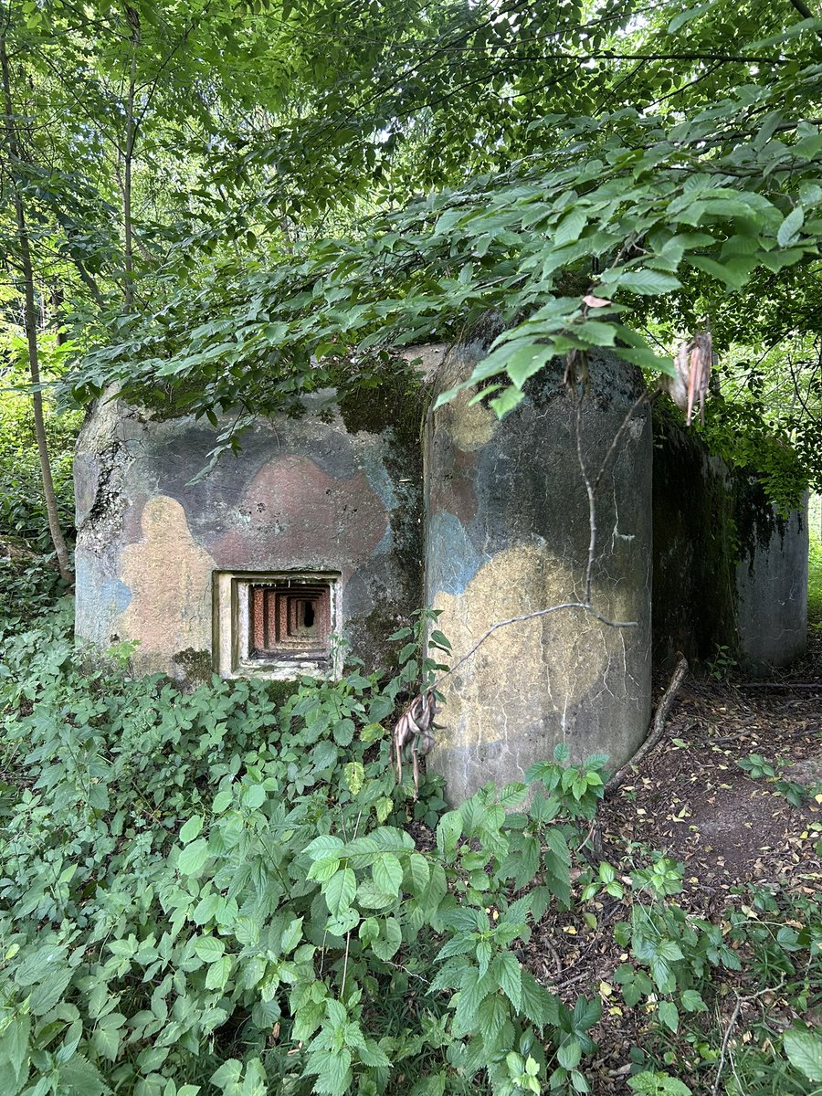 Forestman22's tweet photo. Řopík Q1/3/A-140Z Dubá
#řopík #photo #WWII #liběchovskápříčka #lehkéopevnění #fortifi #dubá #kokořínsko #turistika #historie #Historia #Česko https://t.co/2dDaPfnseq