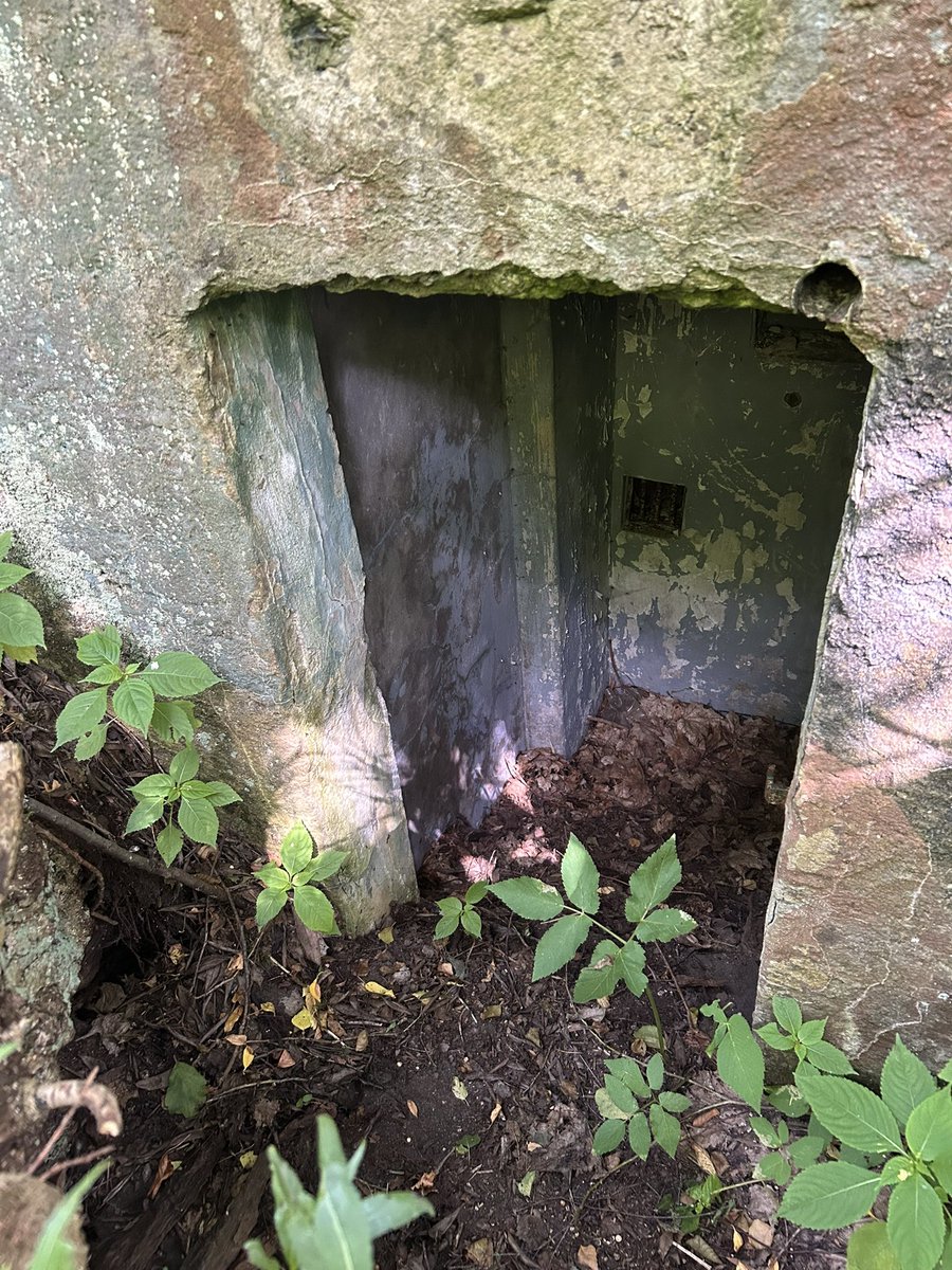 Forestman22's tweet photo. Řopík Q1/3/A-140Z Dubá
#řopík #photo #WWII #liběchovskápříčka #lehkéopevnění #fortifi #dubá #kokořínsko #turistika #historie #Historia #Česko https://t.co/2dDaPfnseq