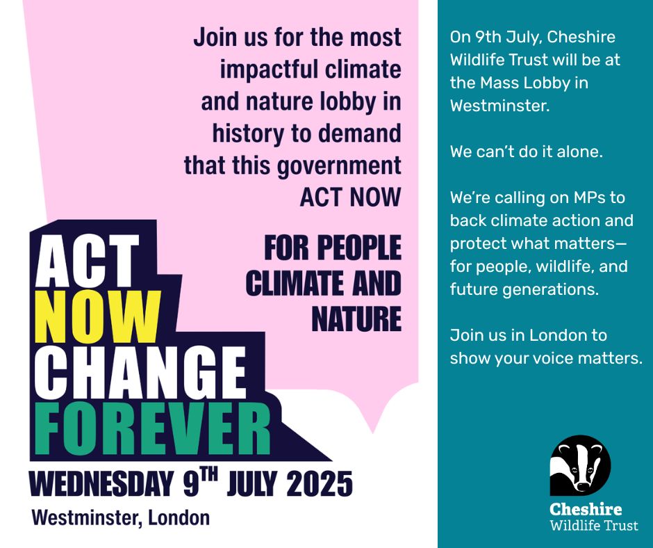 📅 Join thousands in Westminster on the 9th July 2025 to tell your MP to support action for nature.  Together, we can create a future that’s healthier, safer and fairer for all. 

Sign up here: ow.ly/uOhQ50WbHsk