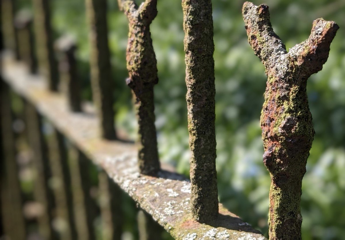 Happy #FencePostFriday…
make it a fantastic finish to the week you all 🤙🏻