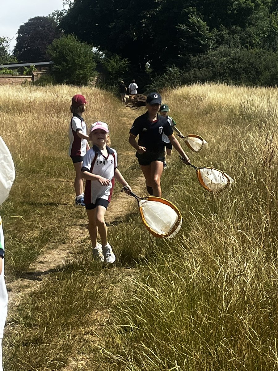 CCJuniorY2's tweet photo. #CCJYear2 found a grasshopper, newt ,water boatmen as well as a lot of different insects! We explored woods, a meadow, a copse and pond looking at the wildlife that lives in each habitat. #CCJuniors #CCThrive #CCLoveofLearning https://t.co/5VNSpLyXWj