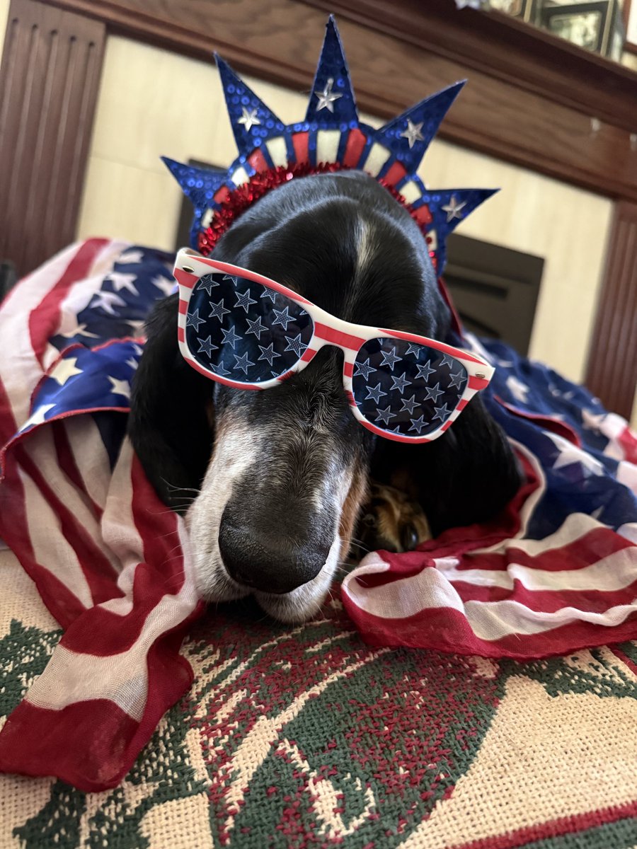 Bubba the 80 pound hound tweet media