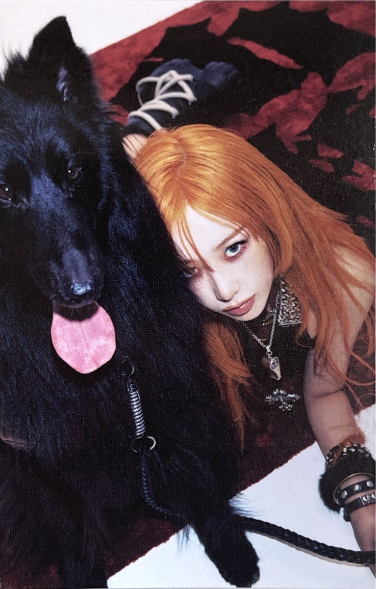 cherryiz0's tweet photo. ALBUM SCAN
aespa [Dirty Work]
Dirty Case ver Accordion Fold Card - Giselle https://t.co/LP01w8UNK3