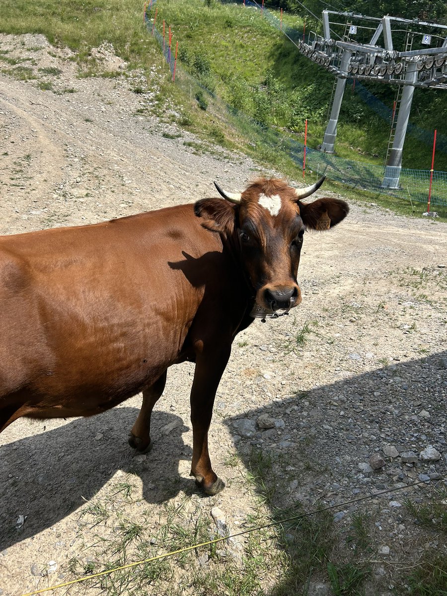 A lovely few days away from it all on the French-Swiss border 😀