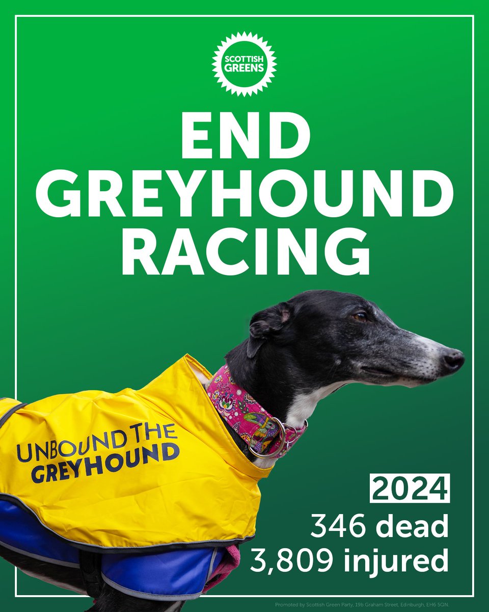 The UK is one of just a handful of countries where greyhound racing continues.

Last year alone that led to the death of 346 dogs and the injury of a further 3,809.

It's time to end this cruel sport in Scotland for good. This year we introduced a bill that will do just that.