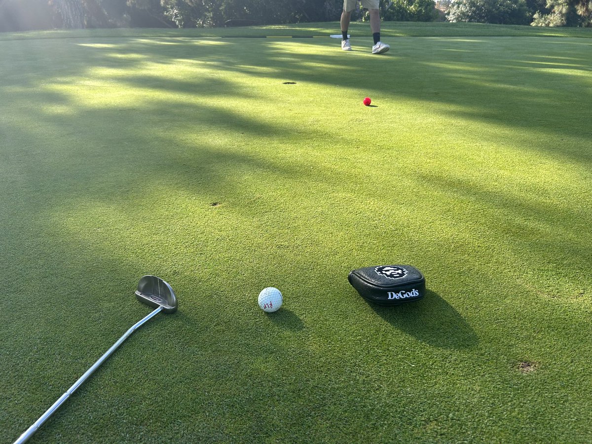 Its a good day for <a href="/DeGolfers/">DeGolf</a>