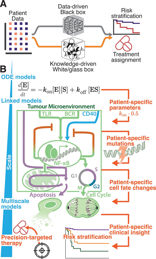 Simon Mitchell (@siftw) on Twitter photo New paper led by <a href="/ejayawant/">Dr Eleanor Jayawant is on BlueSky</a> 🎉
We review:
- how computational biology is helping us understand lymphoma,
- how machine learning and cell simulations make sense of vast amounts of data,
- how models can personalise treatments to each person with lymphoma.
portlandpress.com/biochemsoctran… New paper led by <a href="/ejayawant/">Dr Eleanor Jayawant is on BlueSky</a> 🎉
We review:
- how computational biology is helping us understand lymphoma,
- how machine learning and cell simulations make sense of vast amounts of data,
- how models can personalise treatments to each person with lymphoma.
portlandpress.com/biochemsoctran…