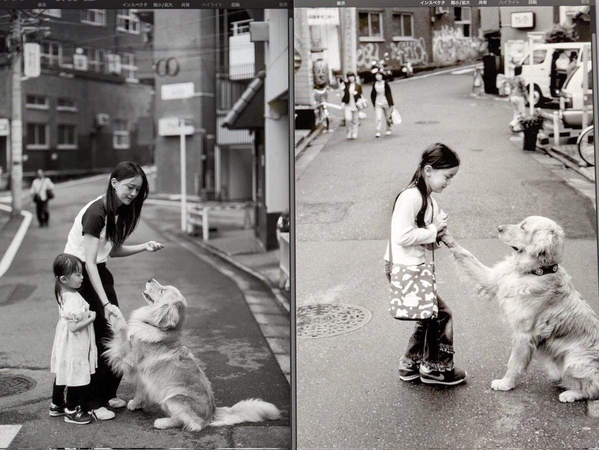 「きずな　東京　2004〜2025」