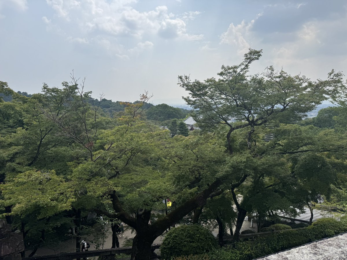 今天在京都跑了两个地方，累垮了！不过真的有点喜欢上这个地方，吃的很好，很干净和新加坡很多地方一样。就是垃圾桶太少了。还有就是任何事情都要预约，否则吃饭都费劲，web3人很多都在东京，所以京都只适合度假⛱️。明天准备去下个地方感受一下日本文化。