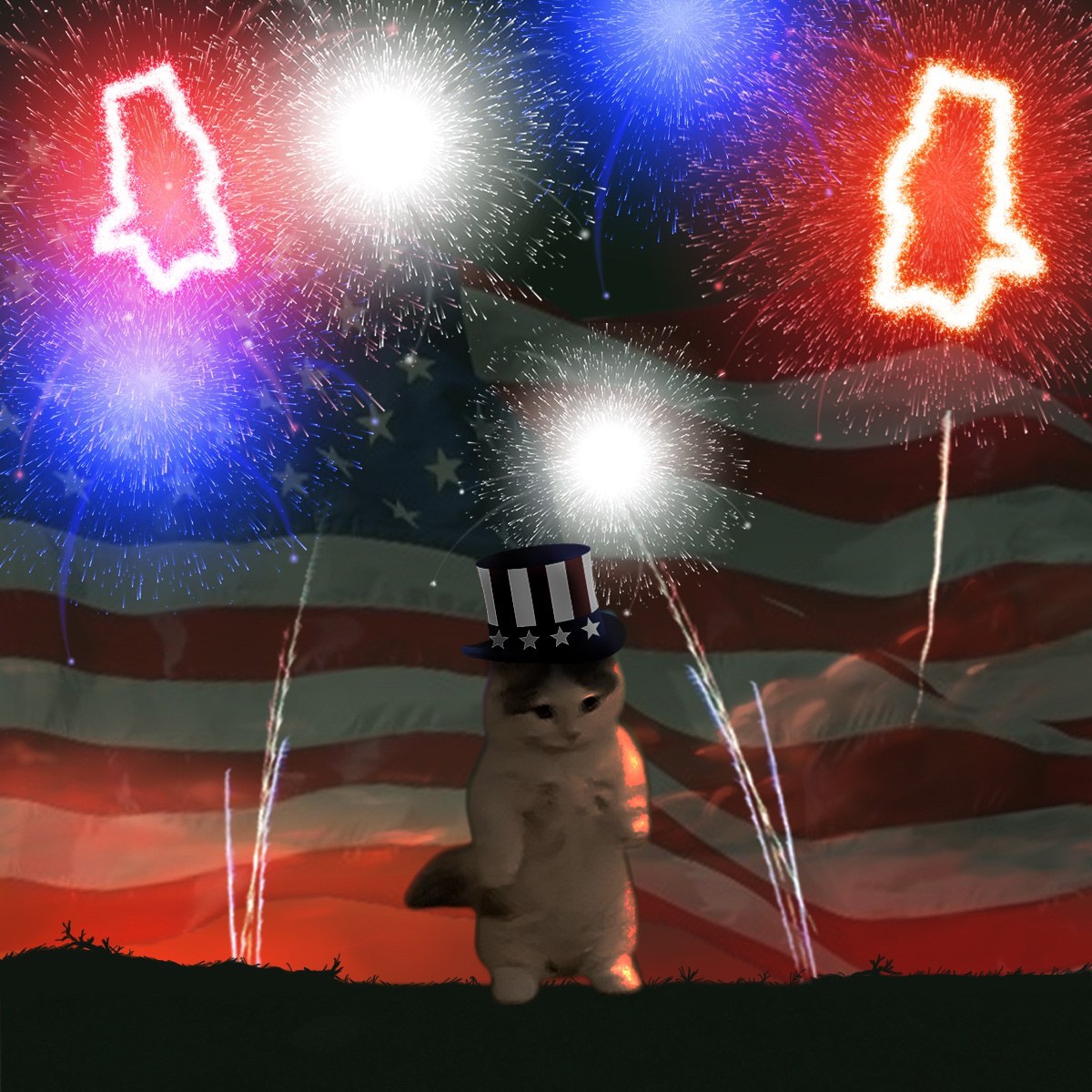 happy 4th of july!