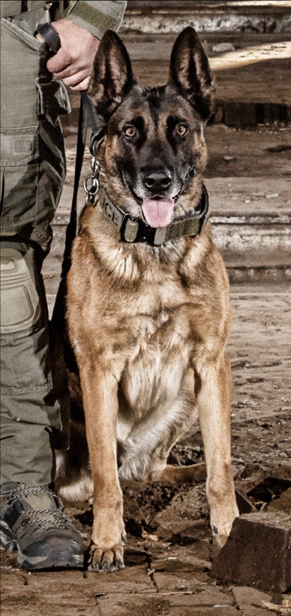 APD Chief of Police tweet media