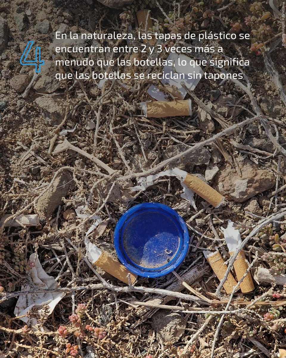 Todos hemos visto las fotos. Montones de residuos plásticos en el mar abierto, playas, ciudades. 🛍️🥤 Sin embargo, todo esto es prevenible.

Lo único que debe desaparecer de nuestros océanos es la contaminación y la pérdida de biodiversidad. Proteger el océano = proteger la vida.
