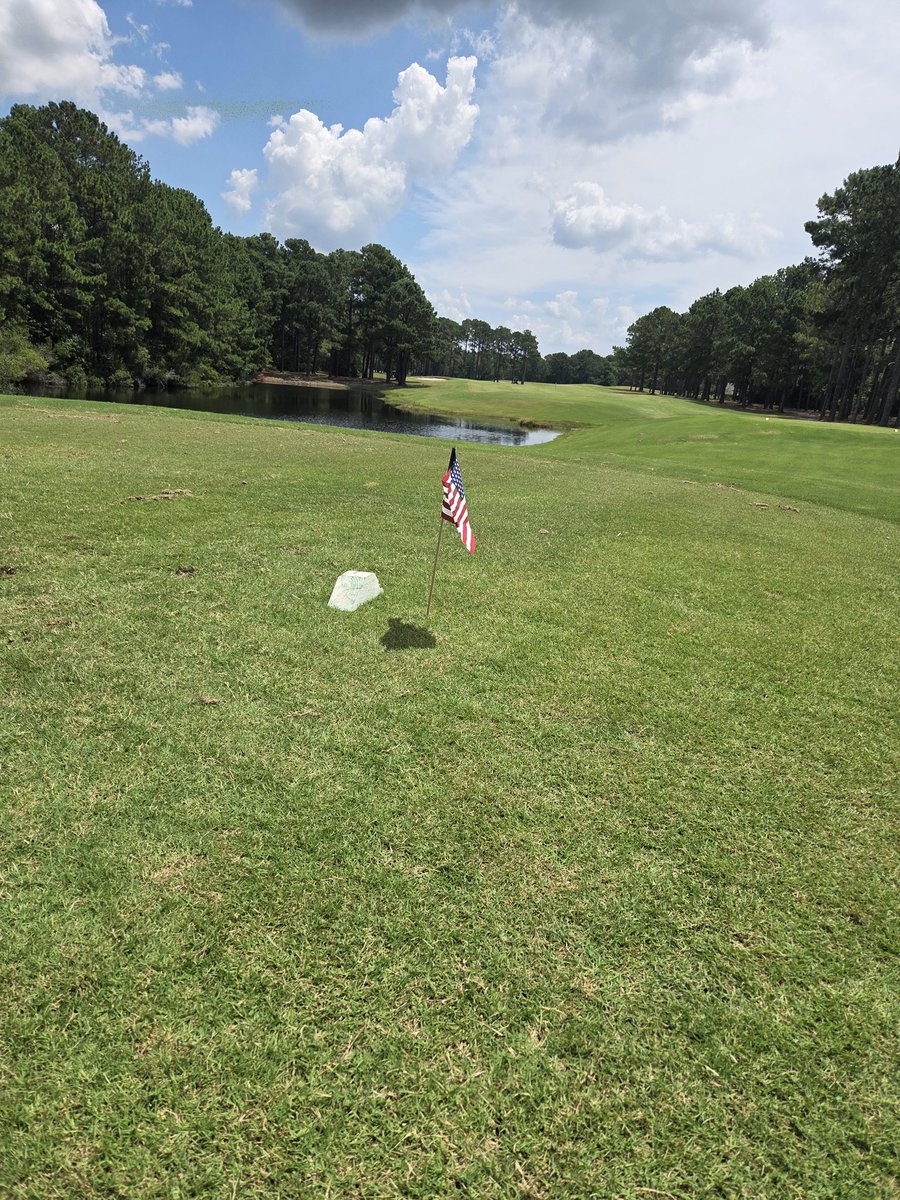 FHSSRGOLF's tweet image. Happy Independence Day! 🇺🇸