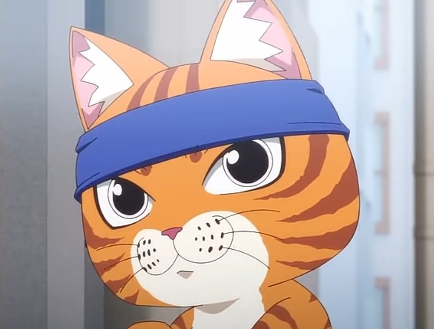 Selamat malam! konbanwa kakak kakak semua, dengan Bonzu disini. Sudah nungguin lama nyaw? 🐱✨