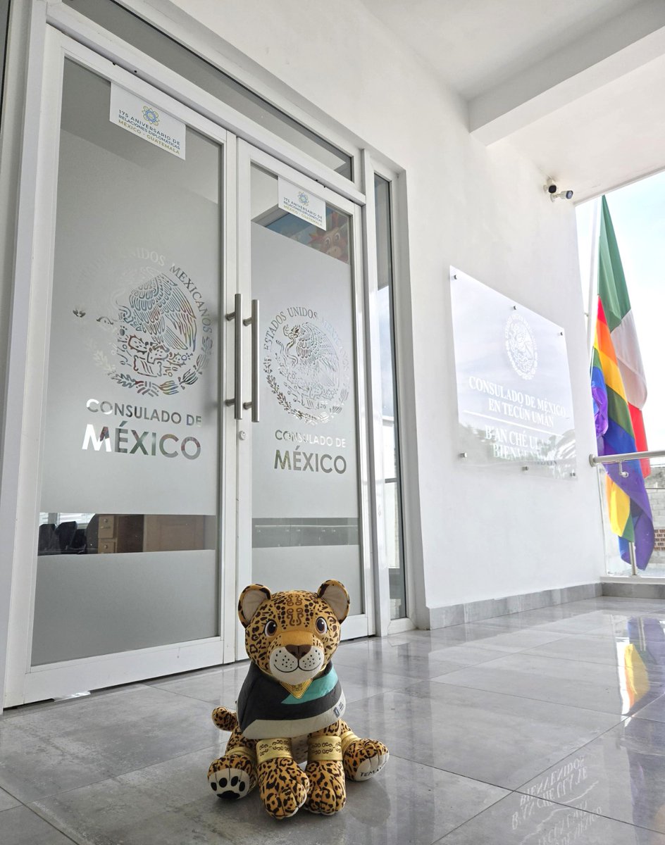 ConsulMexTeu's tweet image. Aunque su medio de transporte favorito es el #TrenMaya, 🚄 nuestro amigo #Temayin 🐾usó el tuk tuk 🛺 para visitarnos en el Consulado.
#FronteraSur 🇲🇽🇬🇹
#temayinporelmundo.
#DiplomaciaTuristicaMX