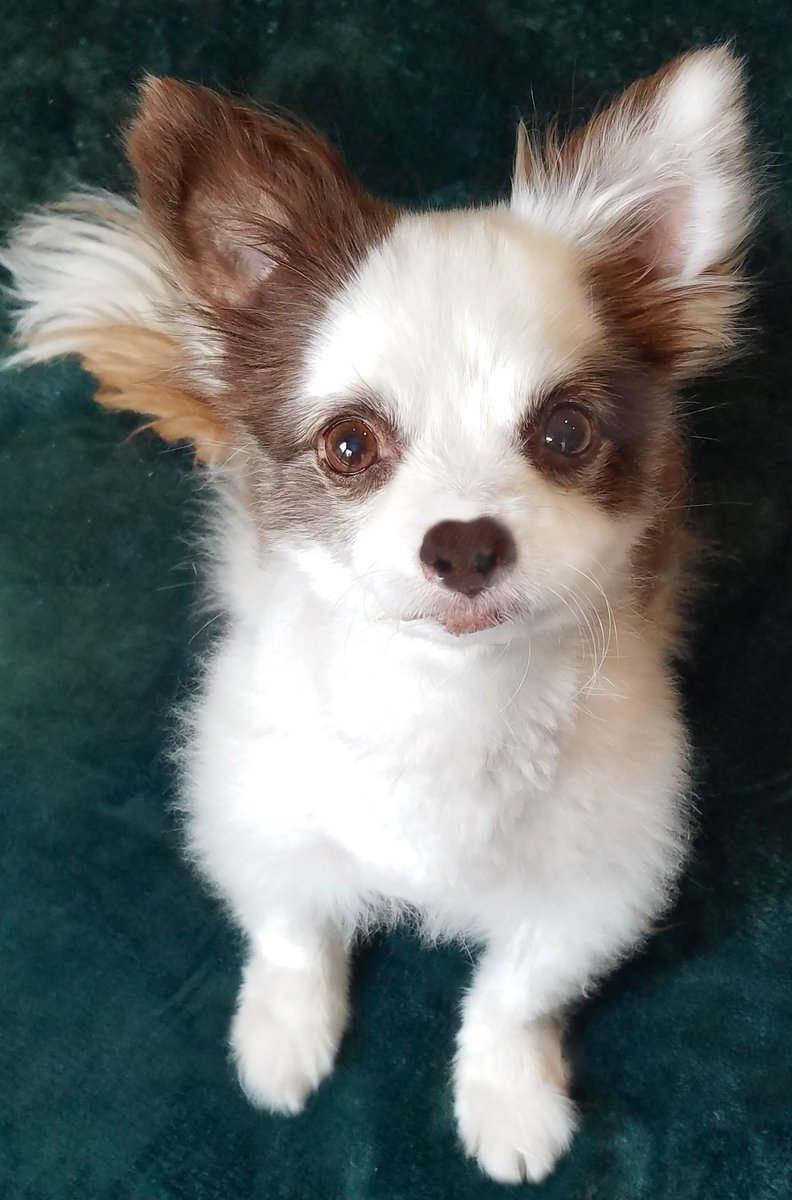 パピオン ゆとりろ洞爺湖の宿泊プラン｜ぐうたび北海道