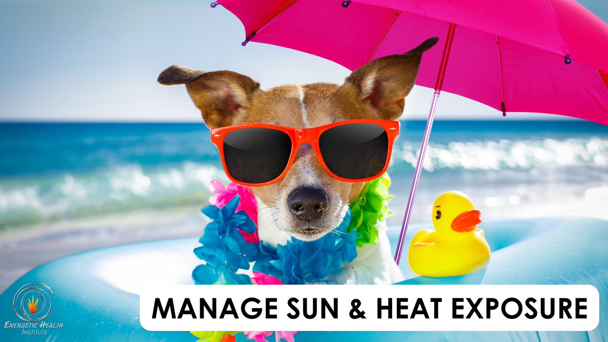 DrHenryEaly's tweet image. Are you taking a VACATION or a STAYCATION this summer?
Whatever you do, learn how to stay healthy in the Summer Heat! 😎 🌴 ⛱️ 🐚