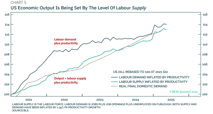 DhavalVJoshi's tweet image. 99% of economists are focusing on US demand, but 99% of economists are wrong!! In the labor supply-constrained US economy, output is being set by the evolution of labor SUPPLY, not demand. Time to listen to the 1% of economists who are correctly focusing on labor supply 😉