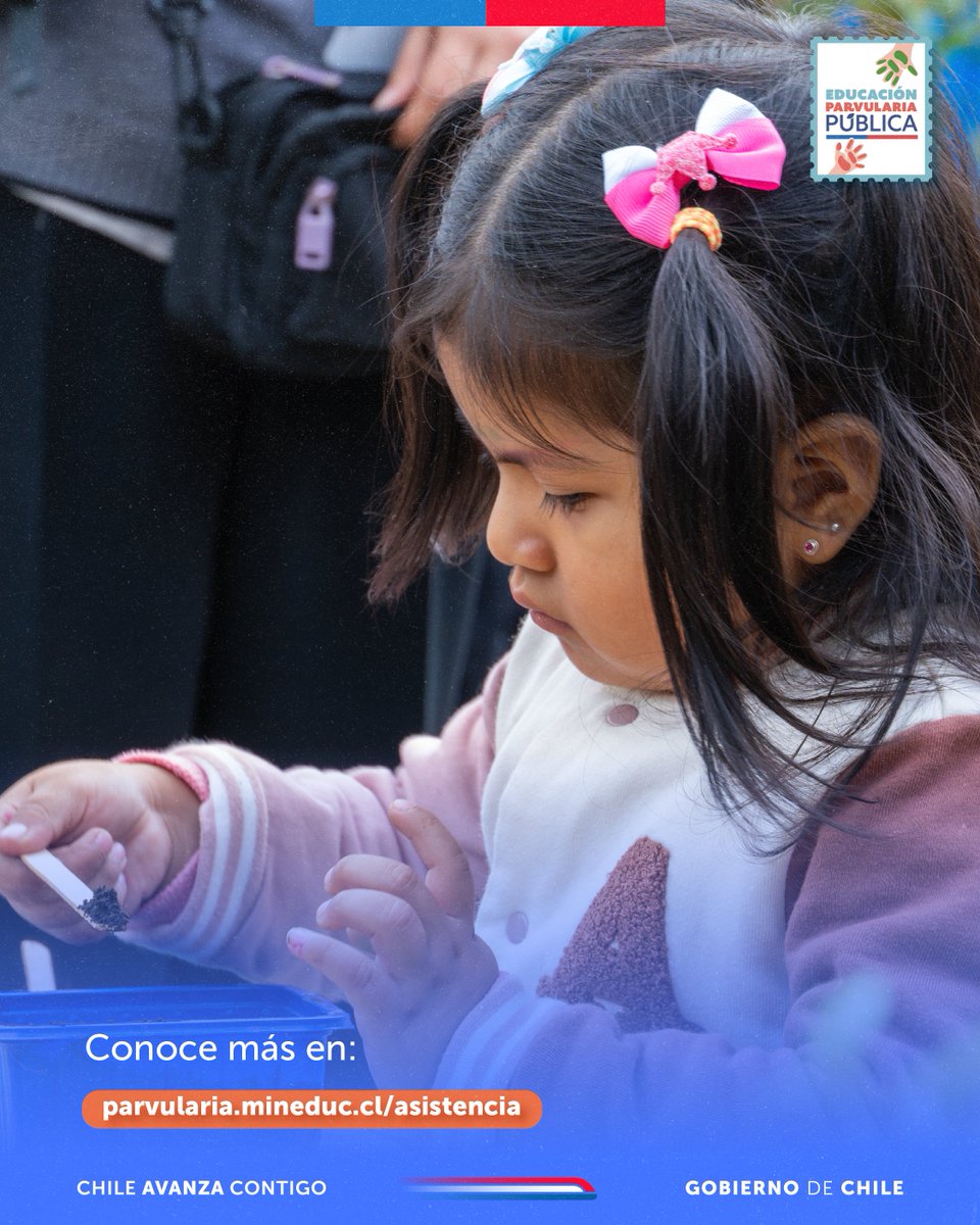 ✨ ¡10 razones para ir al jardín y construir la comunidad educativa que queremos!
Cada día cuenta en la Educación Parvularia 💜👧🏽🧒🏽
Asistir fortalece vínculos, aprendizajes y bienestar.
💬 La asistencia es un compromiso de todas y todos.
#VamosAlJardín #VolvamosAClases