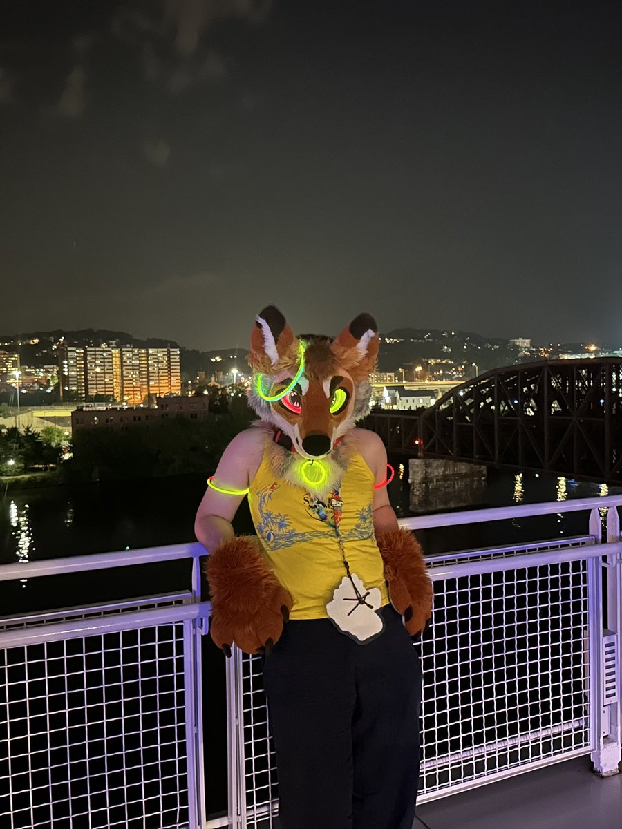 griffyote's tweet image. All lit up 🗣️

#Fursuitfriday