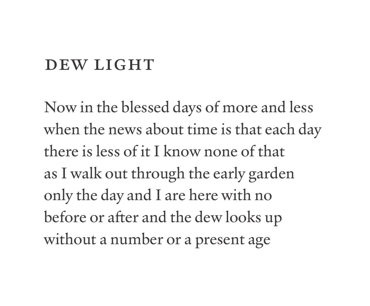 WS Merwin