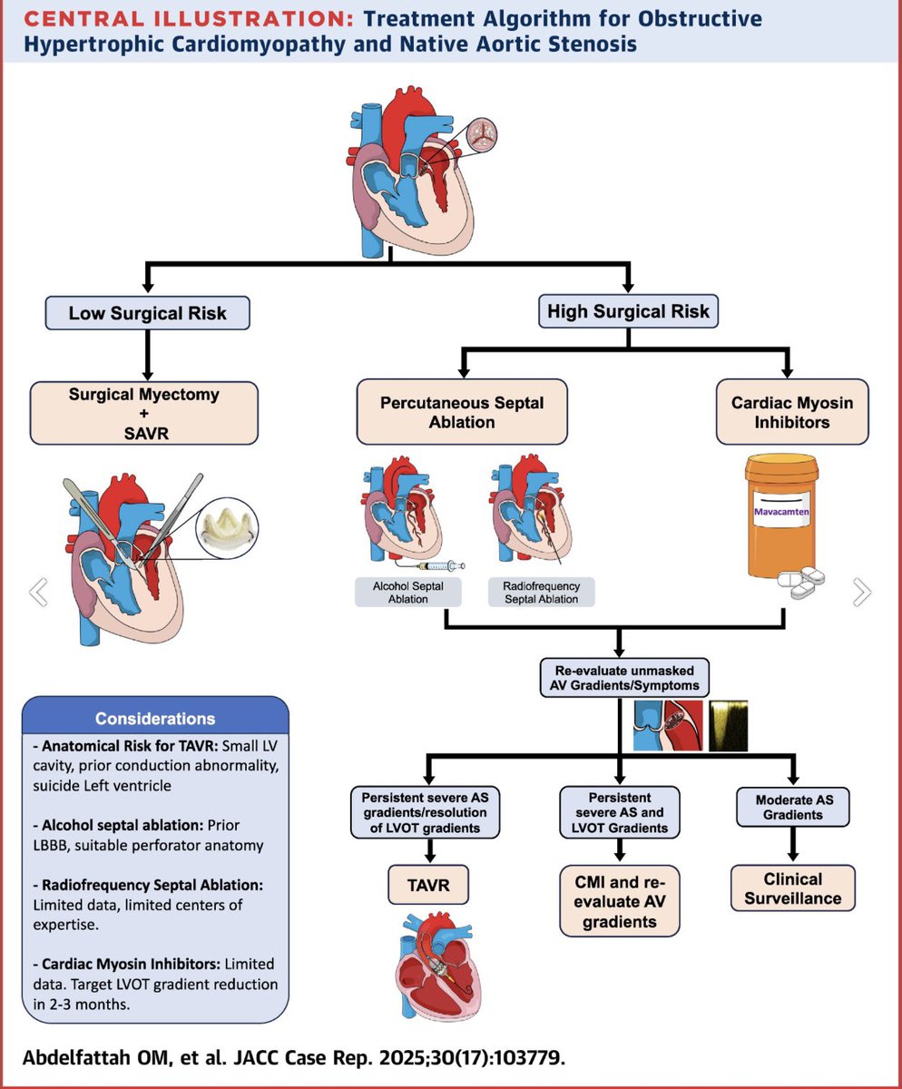 Omar M. Abdelfattah, MD, FESC (@abdelfattahmd) on Twitter photo π¨π«Our latest paper in <a href="/JACCJournals/">JACC Journals</a> CR shows ASA & Mavacamten effectively relieve obstruction in patients with severe AS and oHCM. Check out our stepwise treatment algorithm in High π‘οΈ Risk Case Series with concomitant oHCM & AS spearheaded by <a href="/mmartinezheart/">Matthew W Martinez</a> <a href="/RobynBrydeMD/">Robyn Bryde, MD</a> π¨π«Our latest paper in <a href="/JACCJournals/">JACC Journals</a> CR shows ASA & Mavacamten effectively relieve obstruction in patients with severe AS and oHCM. Check out our stepwise treatment algorithm in High π‘οΈ Risk Case Series with concomitant oHCM & AS spearheaded by <a href="/mmartinezheart/">Matthew W Martinez</a> <a href="/RobynBrydeMD/">Robyn Bryde, MD</a>