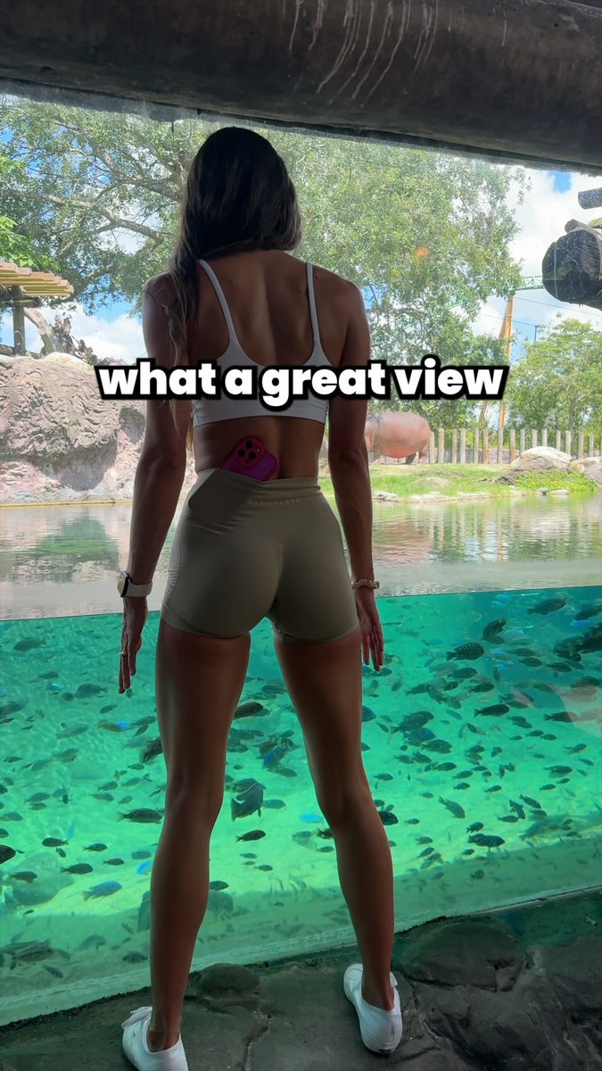 Have you ever seen such a great view before?