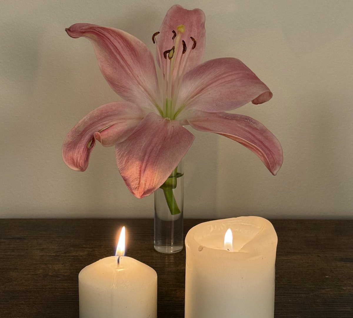 __tothehell's tweet image. 