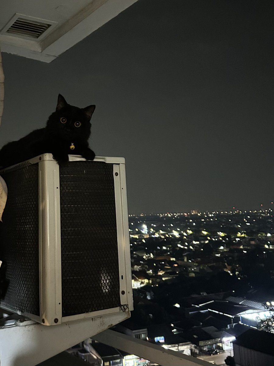 we have beds and sofa and she chooses outdoor ac instead