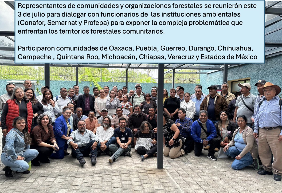 Consejo Civil Mexicano para la Silvicultura tweet media