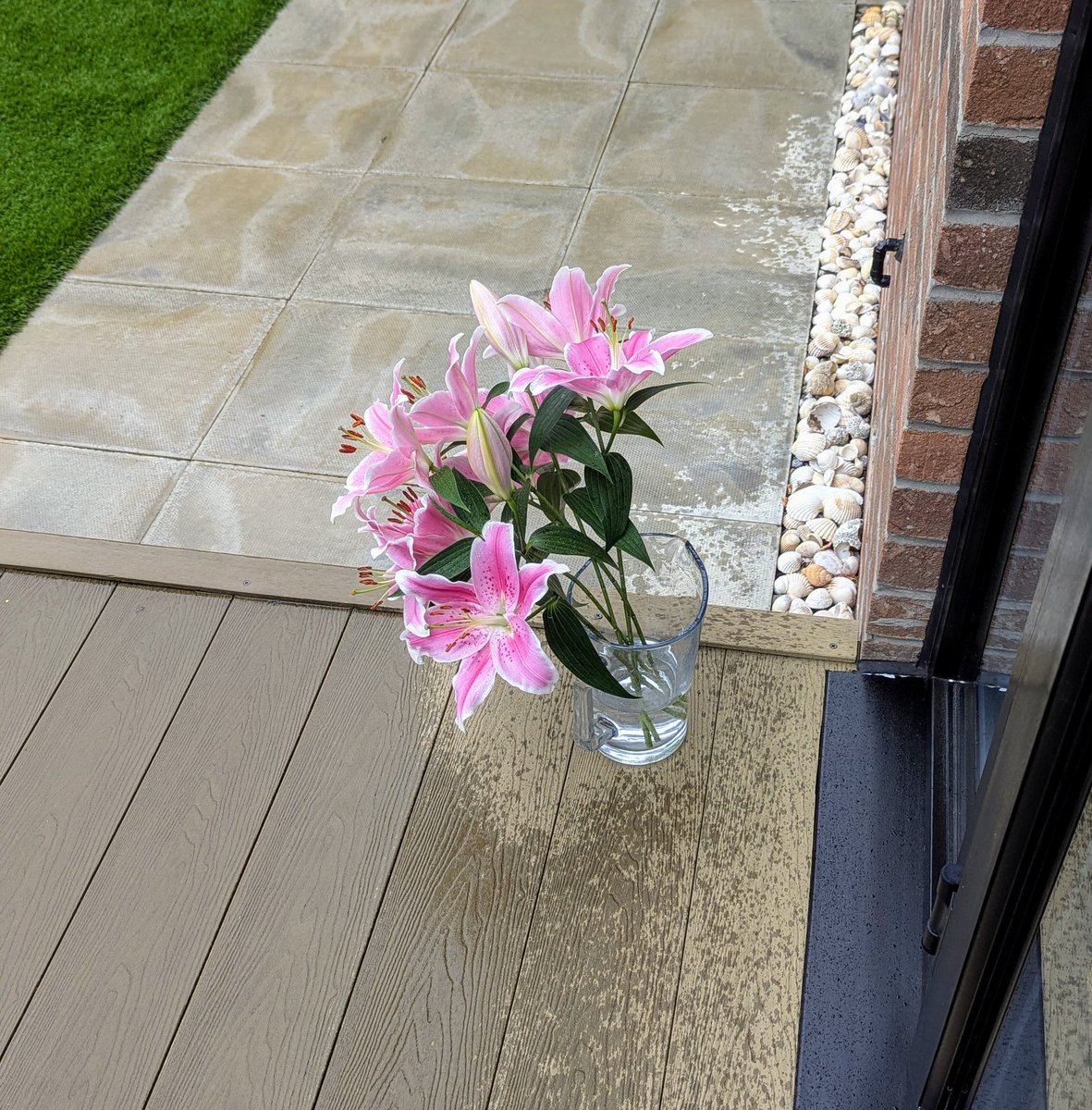 Изгнаны за вонючесть под дождь