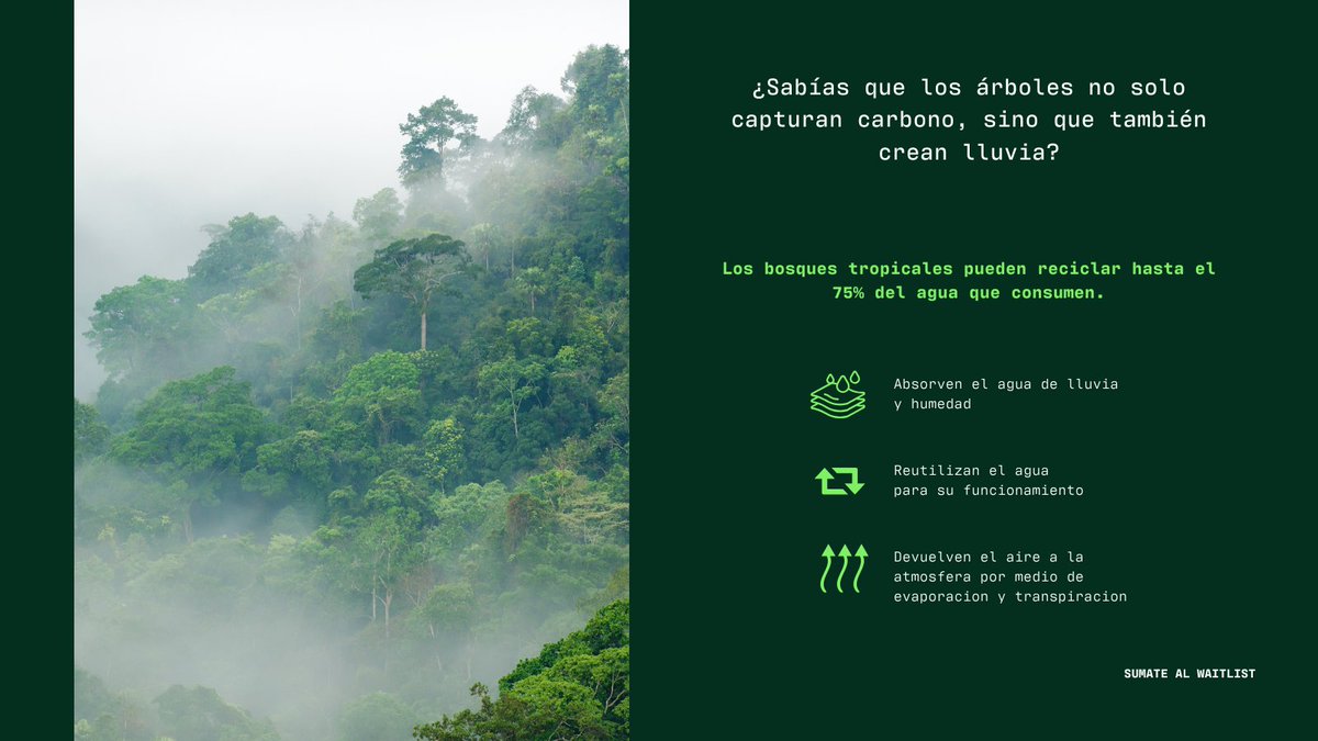 TreeByte tweet media