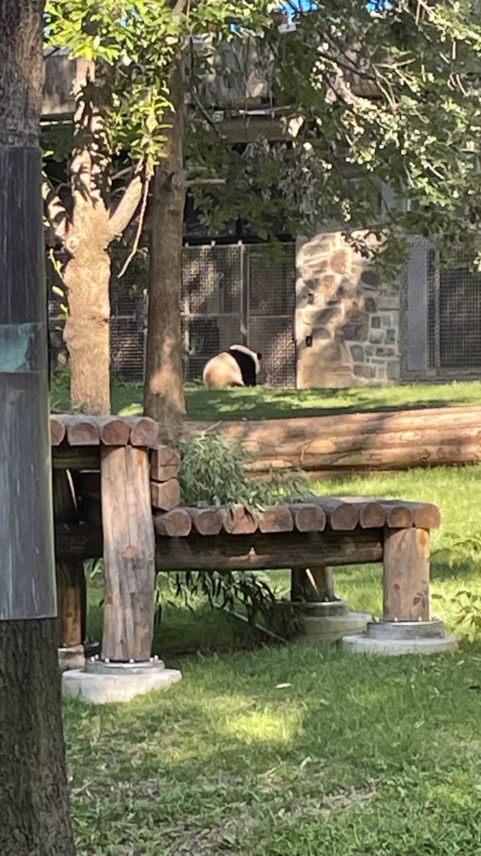 Guinea Pig Central tweet media