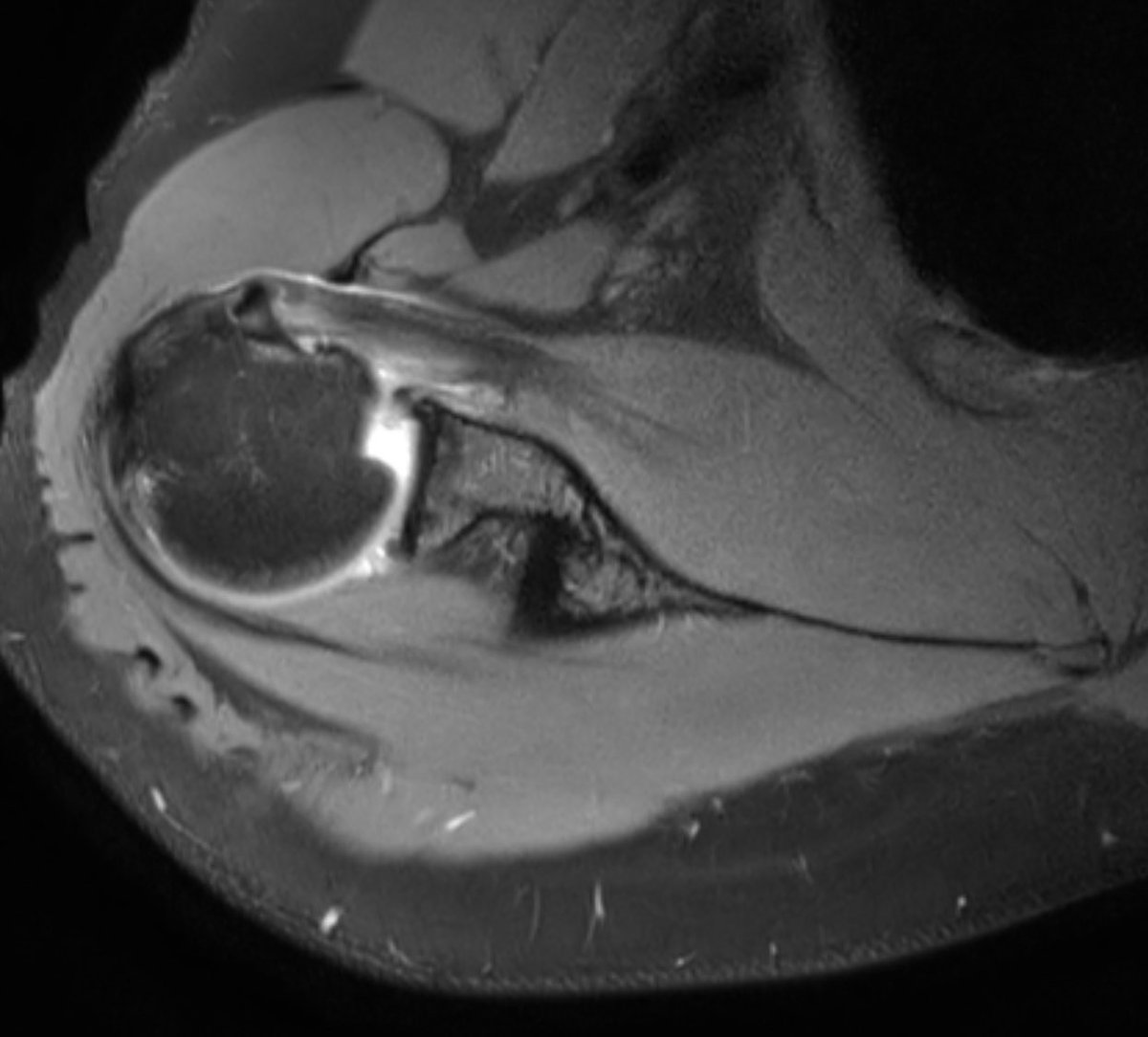 MSK Teaching Room tweet media