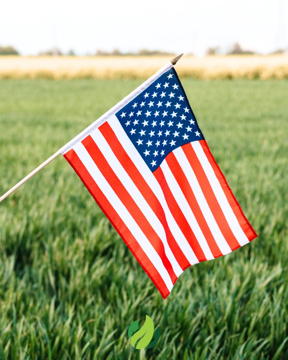 🎆 Freedom tastes better with Washington-grown! From burgers to berries, thank you to the farmers feeding our 4th of July tables.