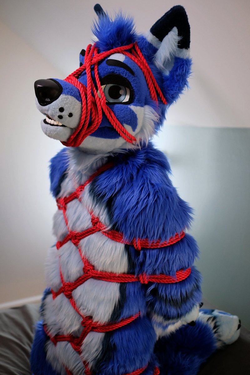 I seem a little tied up this #FursuitFriday, would someone mind helping me? 😳

🪢📸: <a href="/MeekoTooth/">Meeko</a>