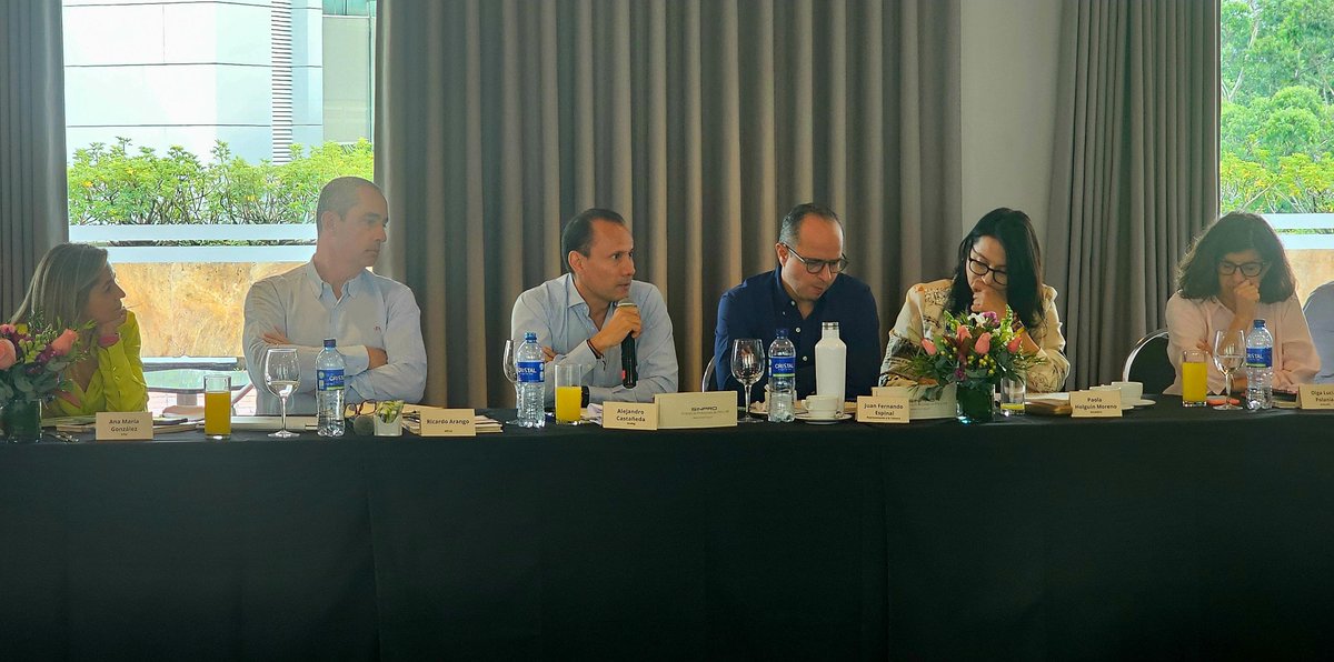 El presidente de <a href="/andeg/">annndyyy</a>, <a href="/Alejo_Castan/">Alejandro Castaneda</a>, advirtió que “el sector energético colombiano está débil, pero aún no ha colapsado”, al referirse a la urgente necesidad de garantizar la seguridad energética. Señaló que una solución inmediata sería destrabar los proyectos con viabilidad