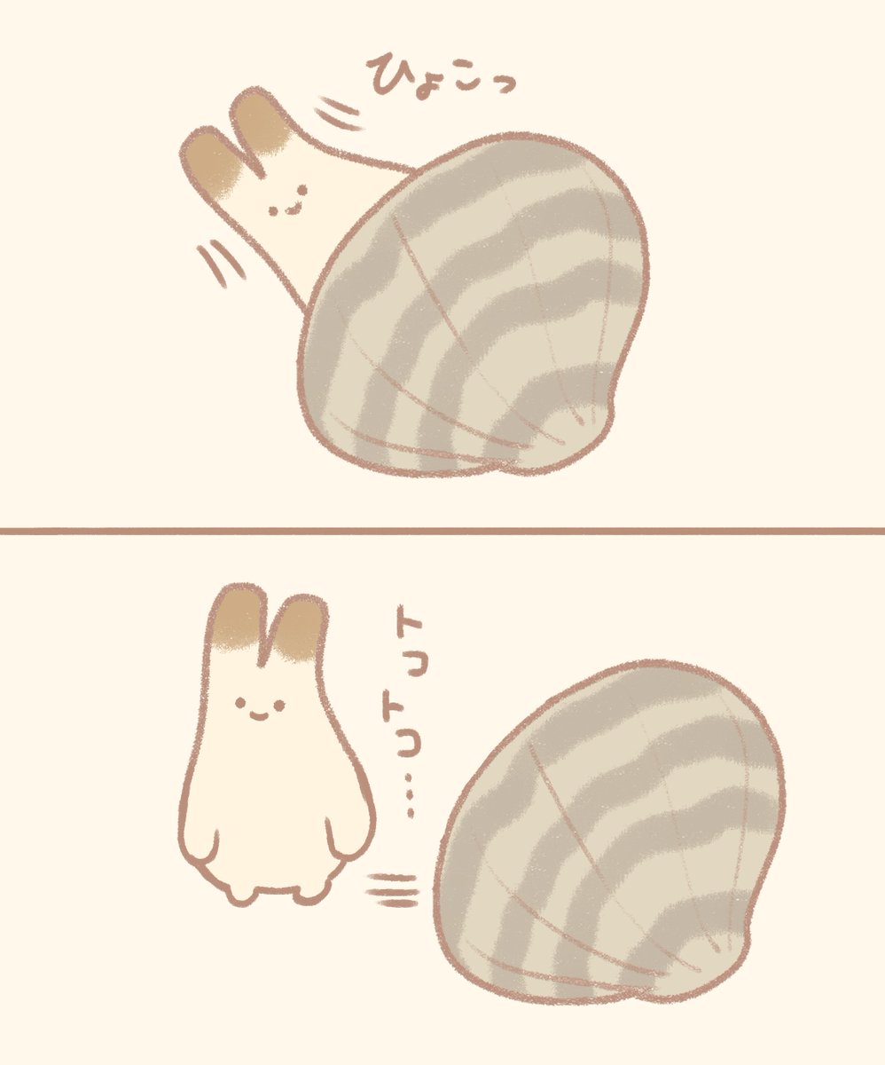 あさりもどき 